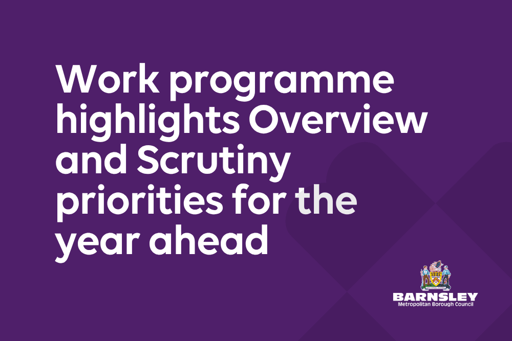 Work programme highlights Overview and Scrutiny priorities for the year ahead — Barnsley news photo (Barnsley Council)
